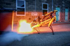 Bomb-defusing robot dog.