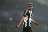 William Osula of Newcastle United during the Emirates FA Cup Fourth Round match between Birmingham City and Newcastle United at St Andrewâs at Knighthead Park on February 08, 2025 in Birmingham, England. (Photo by Alex Pantling/Getty Images)