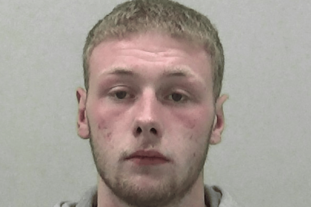 Thomas Newton has been jailed after he targeted four guests at a Halloween party in Sunderland.