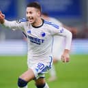 FC Copenhagen forward Roony Bardghji