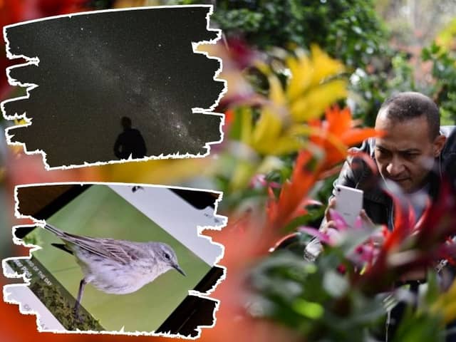 There are apps for IDing plants, birdsong, and even star constellations