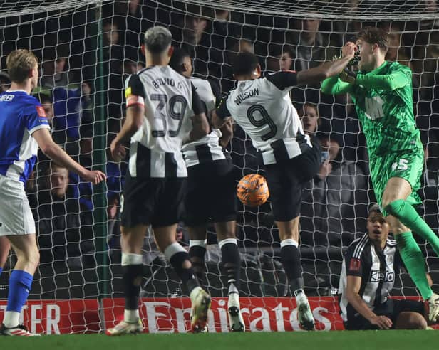 Newcastle United striker Callum Wilson is reportedly wanted by West Ham this summer.