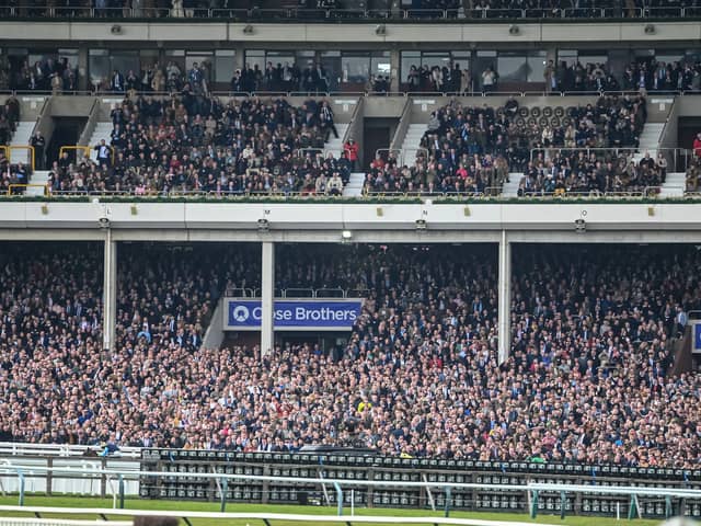Four racing fans will have the chance to jet off to Benidorm and watch the famous horse racing event