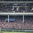Four racing fans will have the chance to jet off to Benidorm and watch the famous horse racing event