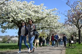 People walk in the park.