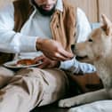 Some ingredients we use for pancakes can be dangerous to dogs.