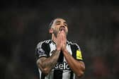 Callum Wilson in action for Newcastle United. 