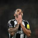 Callum Wilson in action for Newcastle United. 