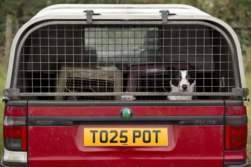 (Images: Getty Images/Carwow)