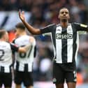 Alexander Isak celebrates scoring his 22nd goal of the season for Newcastle United. 