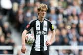 Anthony Gordon of Newcastle United looks on during the Emirates FA Cup Fifth Round match between Newcastle United and Brighton & Hove Albion at St James' Park on March 02, 2025 in Newcastle upon Tyne, England.