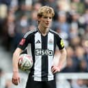 Anthony Gordon of Newcastle United looks on during the Emirates FA Cup Fifth Round match between Newcastle United and Brighton & Hove Albion at St James' Park on March 02, 2025 in Newcastle upon Tyne, England.