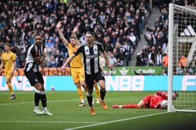 Fabian Schar of Newcastle United celebrates a goal that is later ruled offside during the Emirates FA Cup Fifth Round match between Newcastle United and Brighton & Hove Albion at St James' Park on March 02, 2025 in Newcastle upon Tyne, England. (Photo by Stu Forster/Getty Images)