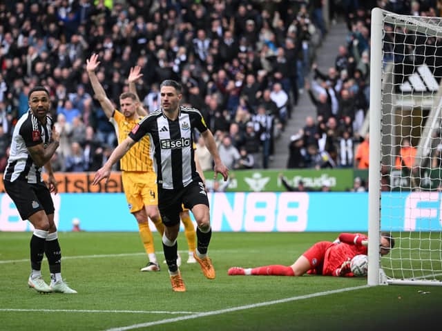 Fabian Schar of Newcastle United celebrates a goal that is later ruled offside during the Emirates FA Cup Fifth Round match between Newcastle United and Brighton & Hove Albion at St James' Park on March 02, 2025 in Newcastle upon Tyne, England. (Photo by Stu Forster/Getty Images)