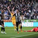 Fabian Schar of Newcastle United celebrates a goal that is later ruled offside during the Emirates FA Cup Fifth Round match between Newcastle United and Brighton & Hove Albion at St James' Park on March 02, 2025 in Newcastle upon Tyne, England. (Photo by Stu Forster/Getty Images)