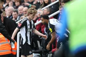 Anthony Gordon was sent off during Newcastle United's defeat to Brighton.