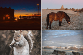 We received so many great photos from Shields Gazette readers throughout the winter of 2024/25.