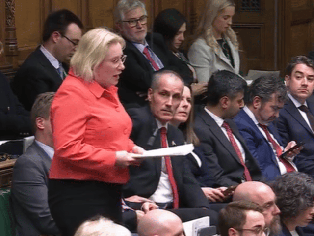 Emma Lewell-Buck, South Shields MP, questioned the Prime Minister over the monitoring of Russia's allies.