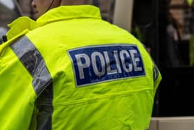 A South Tyneside teen kicked his girlfriend in the leg after pulling her to the ground, a court heard