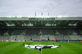 Newcastle United harbour dreams of playing in the Champions League next season