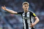 Lewis Hall has been ruled out until the end of the season following surgery.
