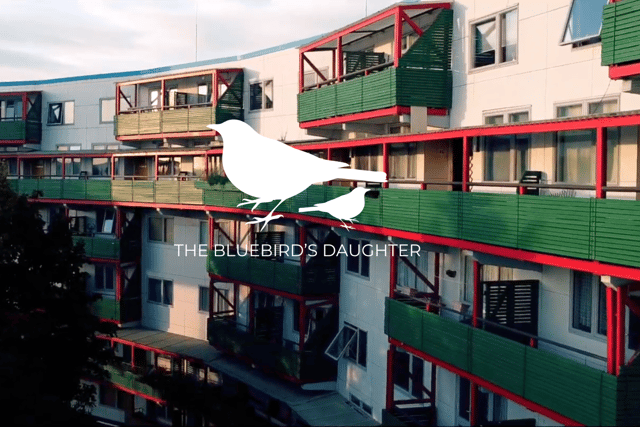 The Bluebird's Daughter, which will be shot in Byker, will be set in the North East during the late 90s/early 2000s.