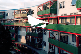 The Bluebird's Daughter, which will be shot in Byker, will be set in the North East during the late 90s/early 2000s.
