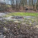 A three point plan is in place to carry out restoration works at St Bede’s Well which is situated in Campbell Park