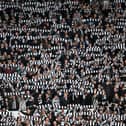 Newcastle United fans with scarves at the Stadium of Light ahead of their FA Cup win over Sunderland last year. Fans at Wembley will all be given a scarf this weekend.