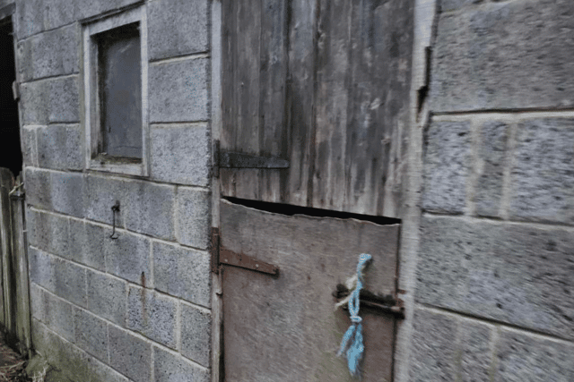 The current doors at the new Little Paws Ferret Rescue venue are not suitable for providing the environment that the ferrets need.