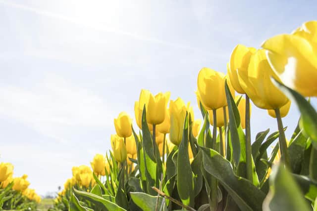 The Met Office has issued its verdict on whether the North East will experience higher temperatures than parts of Ibiza