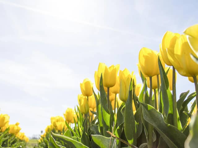 The Met Office has issued its verdict on whether the North East will experience higher temperatures than parts of Ibiza