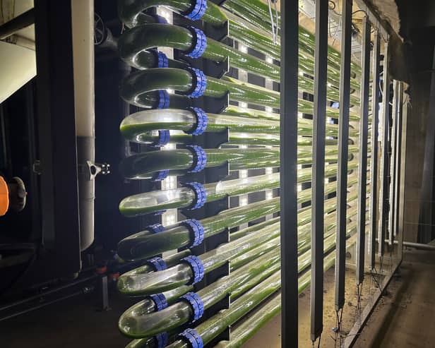 The Green Machine which converts gases released from sewage into fuel.