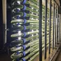The Green Machine which converts gases released from sewage into fuel.