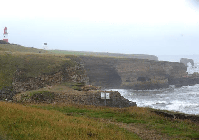 Proposals have been submitted to build a native oyster reef off the coast of Whitburn.