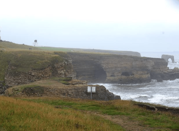 Proposals have been submitted to build a native oyster reef off the coast of Whitburn.