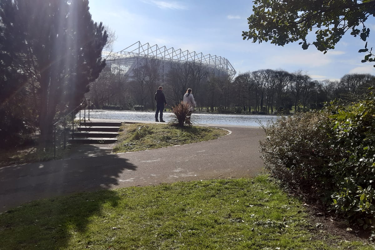 Claims Newcastle United want to leave St James' Park for new Leazes Park stadium spark outrage