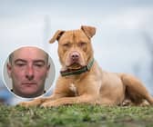 A man in charge of an out of control pit bull which attacked two dog walkers has been locked up. Picture a Pit bull and insetTerry Lee