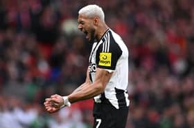 Joelinton has avoided a Premier League ban for Newcastle United. 
