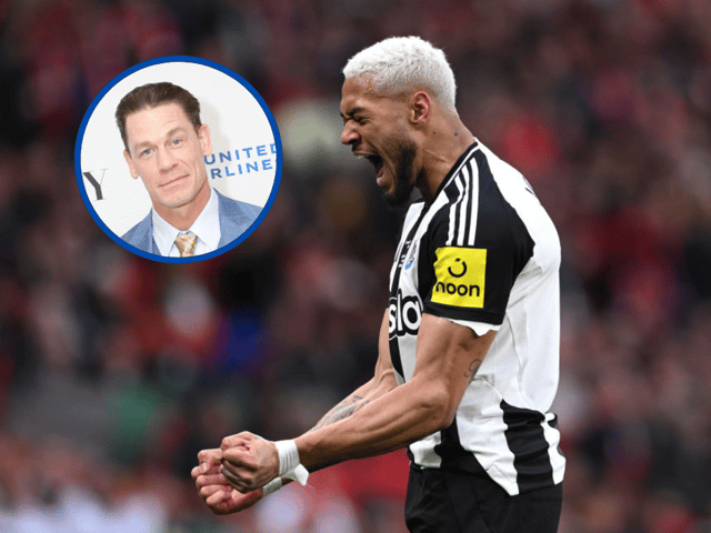 Joelinton has unknowingly become a WWE star as a fan unfurled a brilliant banner of the Brazilian during a show in Scotland