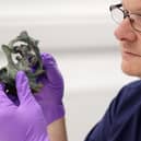 Professor Tom Moore holds a decorative copper alloy.