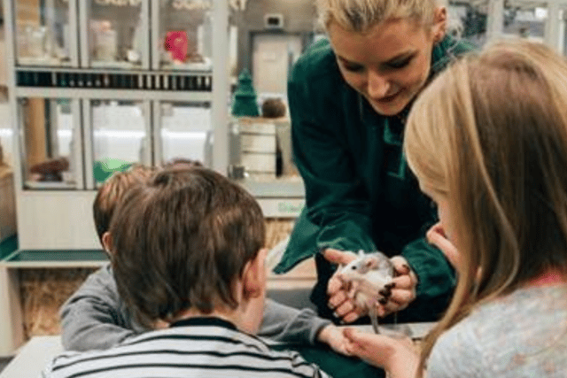 Pets at Home are set to run free workshops for children throughout the Easter period.