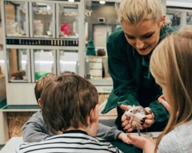 Pets at Home are set to run free workshops for children throughout the Easter period.