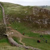 The trial date for two men accused of felling the world famous Sycamore Gap tree has been set.