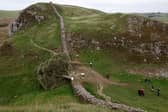 The trial date for two men accused of felling the world famous Sycamore Gap tree has been set.