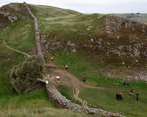 The trial date for two men accused of felling the world famous Sycamore Gap tree has been set.