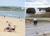Shields Gazette readers have shared their favourite thing about the summer in South Tyneside.