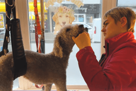 Rebecca Brown, the owner of The Dog Spa Durham, has given an insight into a day in the life of a dog groomer.