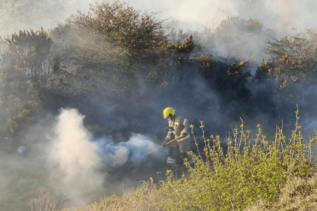 Fire crews used beaters and back packs to put out the fire.
