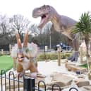 Ocean Beach Pleasure Park is getting ready to unveil its brand new Dinosaur Cove.
